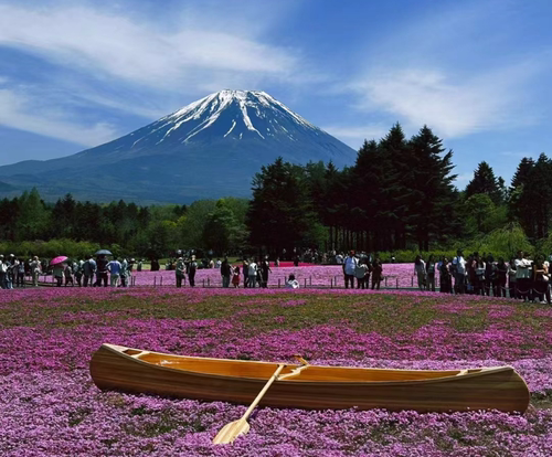 富士山五合目一日游