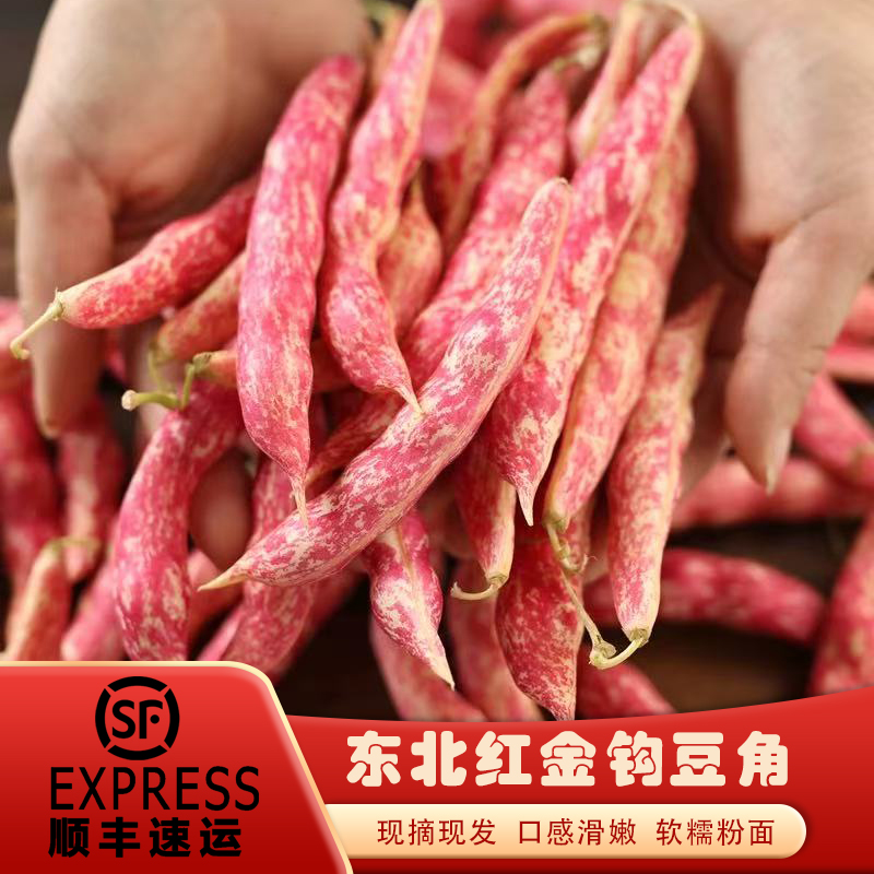 顺丰包邮  东北正宗红金钩豆角黄金钩现摘现发口感滑嫩营养丰富