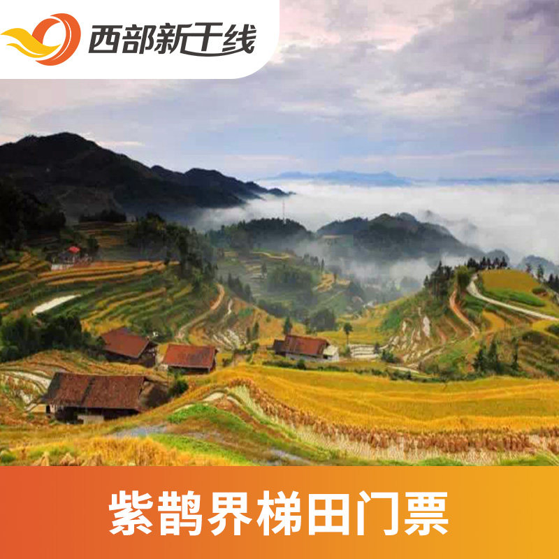 [紫鹊界梯田-大门票]湖南 娄底紫鹊界梯田 湖南旅游