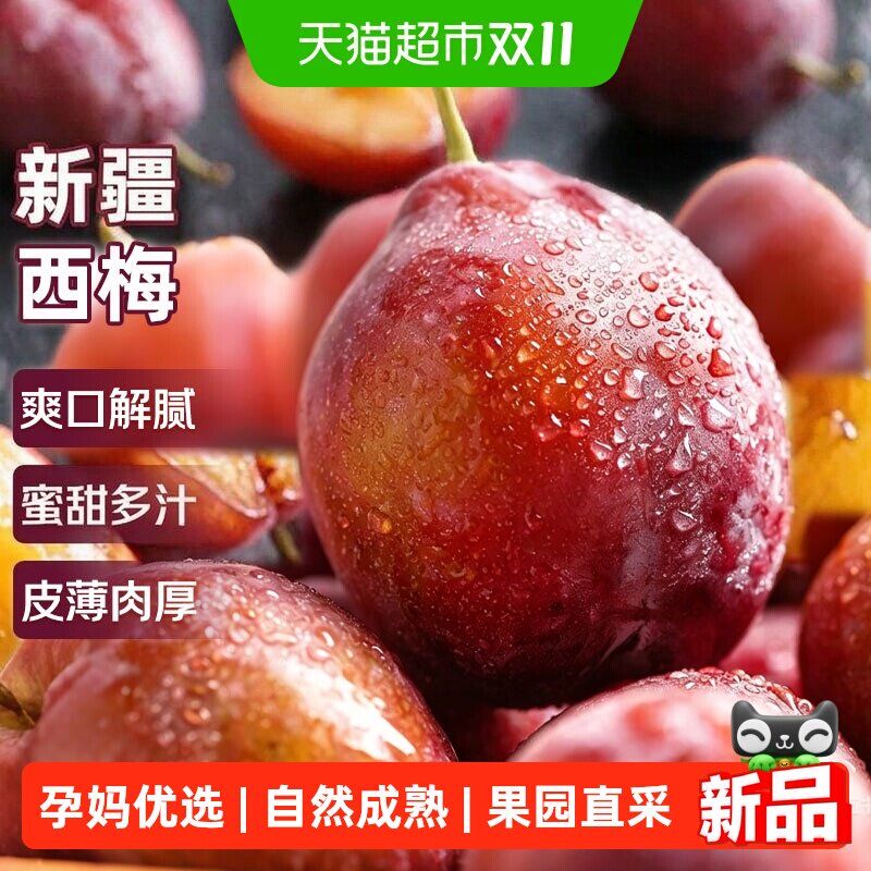 寻天果蔬新疆伽师喀什西梅新鲜时令正宗特级大果李子水果鲜果