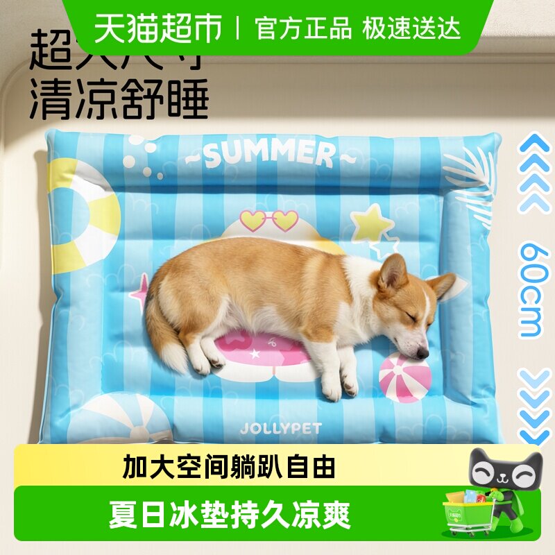 ������湷��������ϯ���ӹ����ļ�˯��è�����콵�´�ߴ�����Ʒ