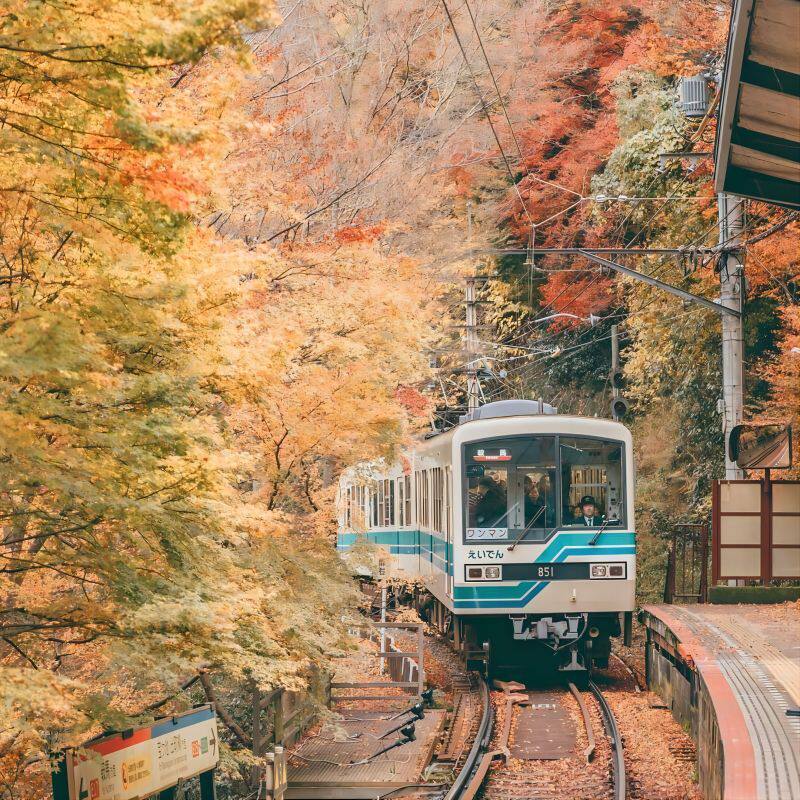 [省心严选]日本旅游东京自由行6天5晚含机票酒店接送随心配 个签