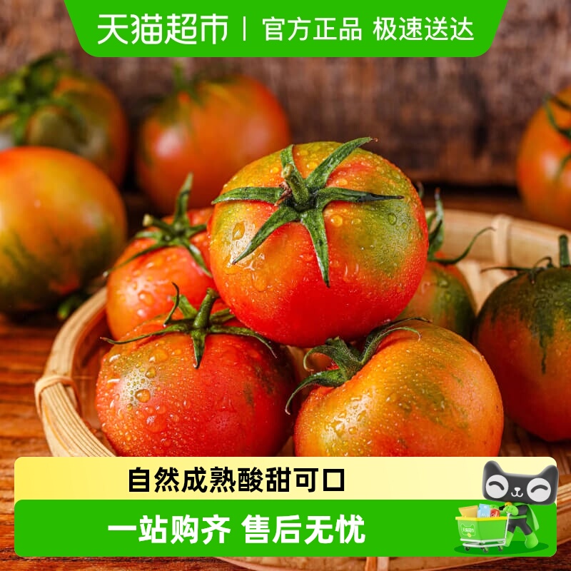 丹东正宗草莓柿子