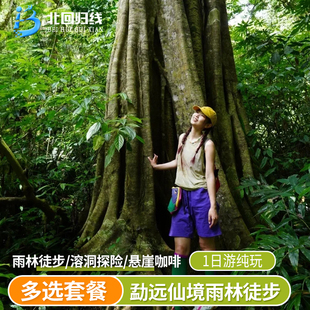 西双版纳 勐远仙境雨林徒步-溶洞探险-明星同款-悬崖咖啡-基诺山