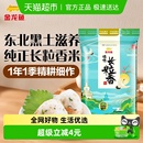 东北大米 长粒香米 长粒爽弹 臻选长粒香大米 金龙鱼