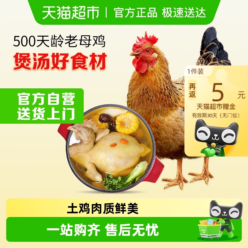 温氏食品土鸡散养慢养鸡肉