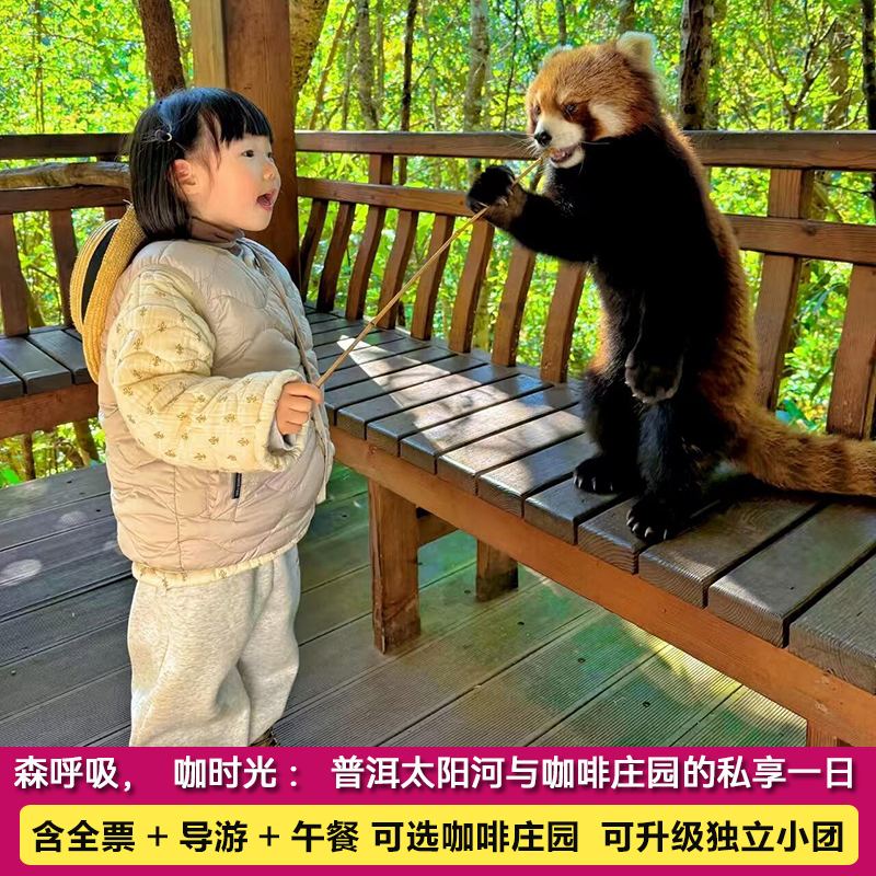 森呼吸，咖时光：普洱太阳河+大开河梅子/北归庄园一日游