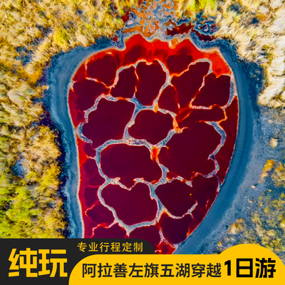 阿拉善一日游纯玩小团