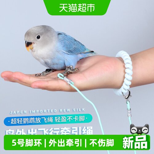 疯狂的主人超轻训练鹦鹉放飞绳