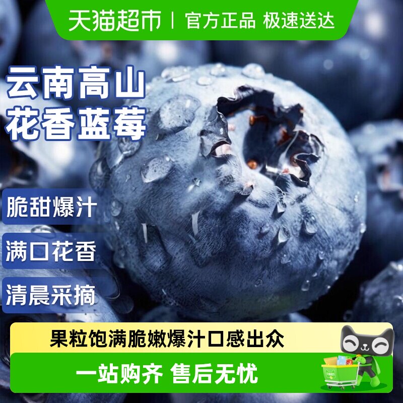 云南高山花香蓝莓应当季新鲜水果特大果礼盒整箱京运达怡佳颗沃