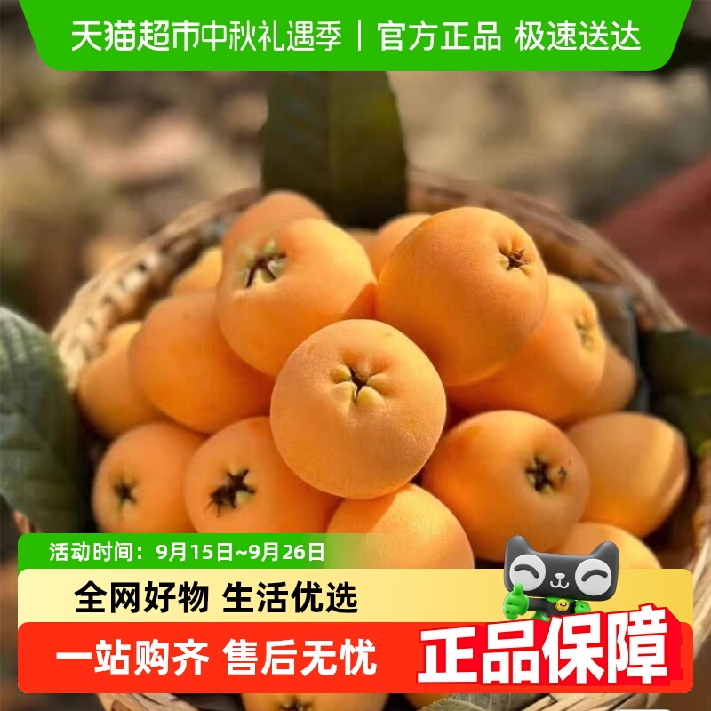 胡鲜森四川雅安花枇杷