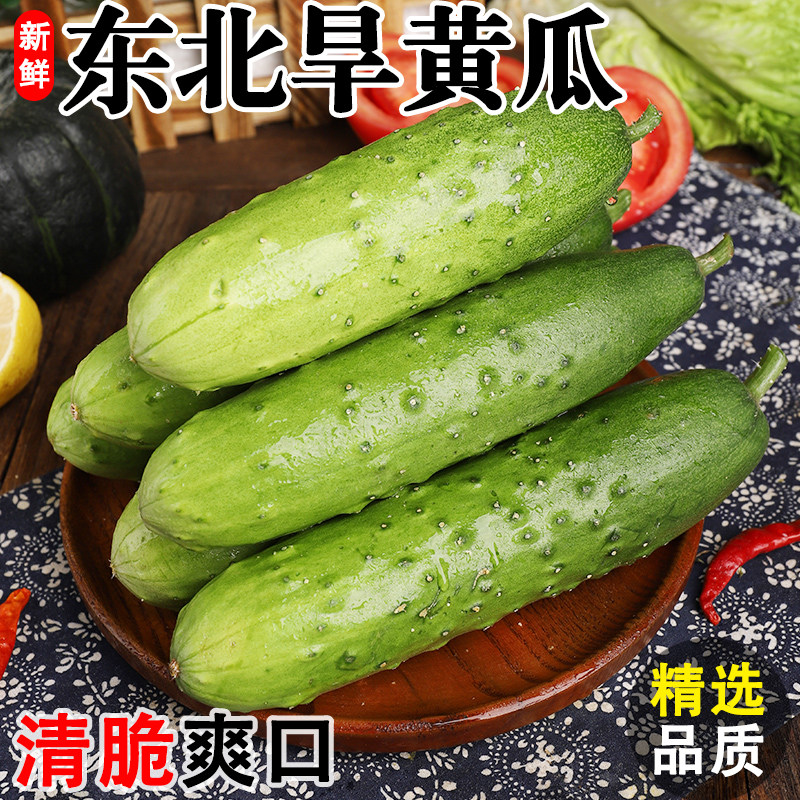 �������ƹ�������ժ�߲˶�����ƹ�ˮ���ƹ��������Ե�������