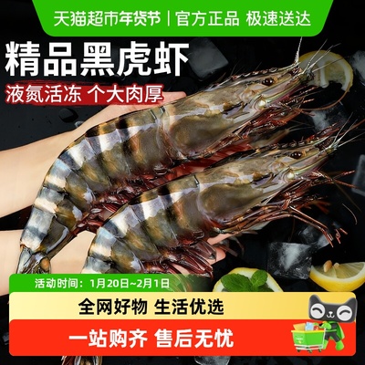 云储生活黑虎虾大虾鲜活超大