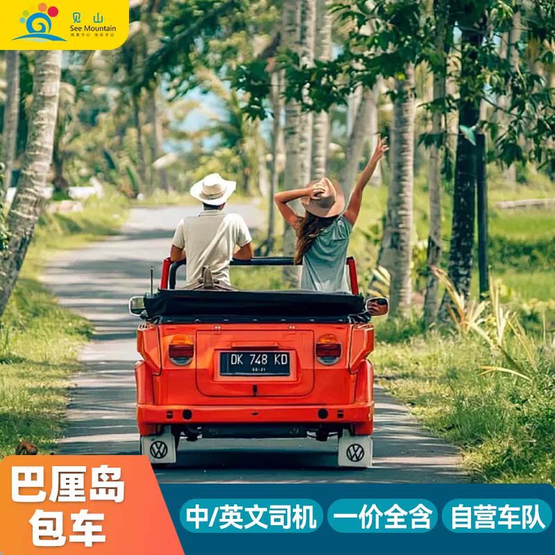 巴厘岛包车一日游中英文司机罗威纳火山佩尼达岛情人崖海神庙包车