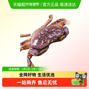 【鲜活发货】烁奢鲜 进口珍宝蟹1.5-1.7斤/只 新年海鲜年货不包活