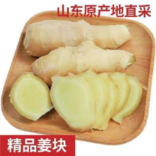 山东新鲜大姜水洗风干姜生姜老姜大黄姜月子姜生姜姜块5斤实惠装