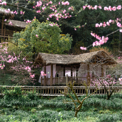 [桃花源景区-大门票（提前一天）]重庆酉阳桃花源景区门票