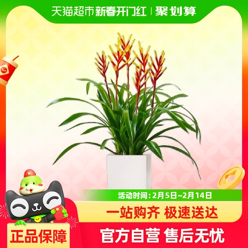 ˵ͷԴɹڿֲ￪ҵǨϲ38Ԫ(88VIP 95)
