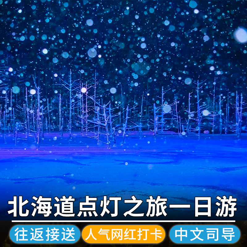 【北海道点灯之旅】精灵台&彩之丘&圣诞树&瀑布&青池一日游|中英