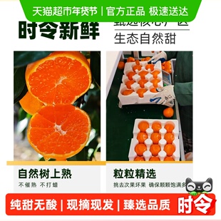 【臻选】临海涌泉蜜桔柑橘新鲜水果黄岩蜜桔子当季水果整箱