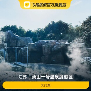 温泉大门票 温泉票 汤山一号温泉度假区