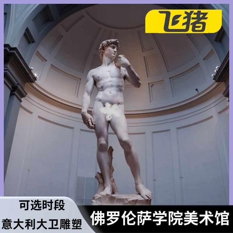 [佛罗伦萨学院美术馆-大门票]意大利大卫雕塑美术馆门票