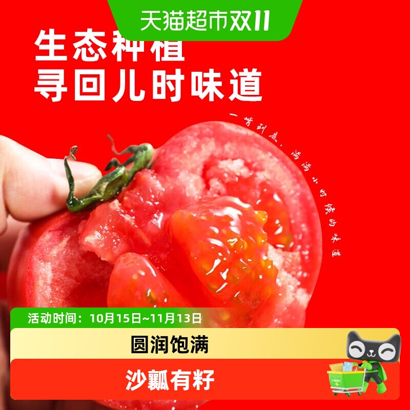 沙瓤水果番茄西红柿新鲜当季自然熟蔬菜生吃