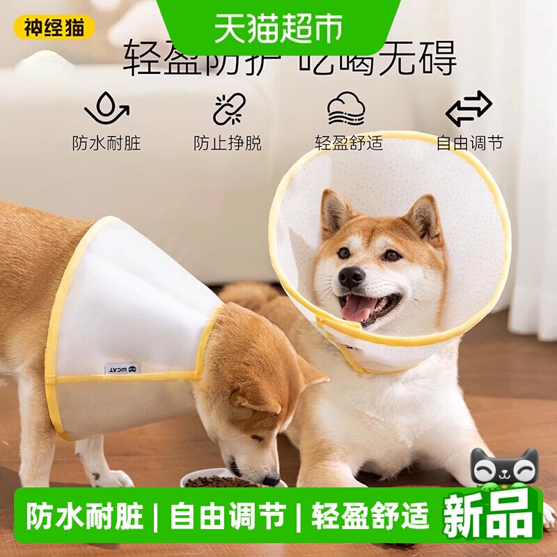 神经猫伊丽莎白圈猫咪项圈大型犬金毛头罩狗狗头套宠物术后防咬舔