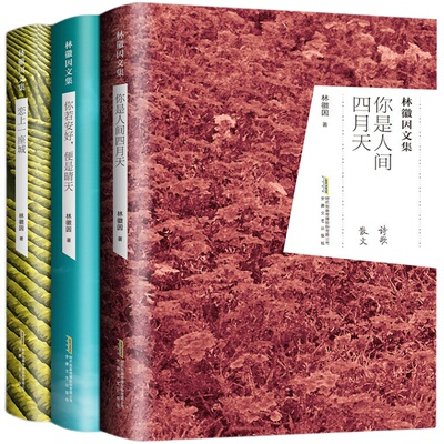 林徽因文集安徽文艺出版社