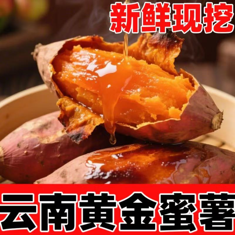 建水红心蜜薯黄金薯 源头直发软糯流蜜 农家现挖粗粮 早餐优选