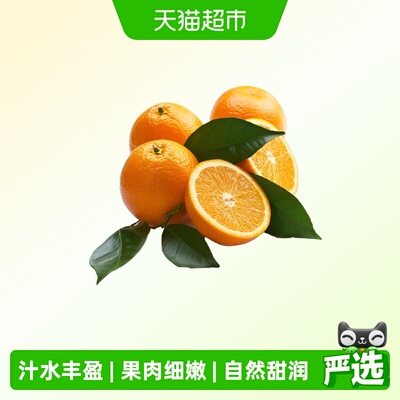 寻天果蔬新鲜冰糖橙