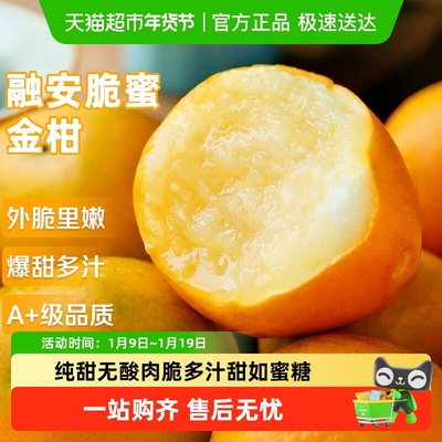 京运达融安脆蜜金柑脆皮金桔