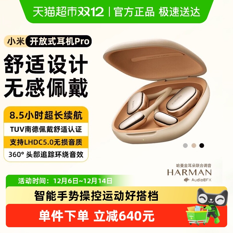 С׿ʽ Pro Xiaomi ©޸