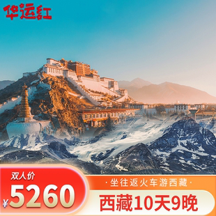双人(含往返卧铺票)10天9晚西藏旅游专列
