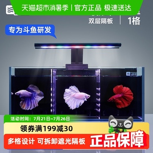 yee超白斗鱼缸玻璃多格隔离背滤免换水客厅小型生态泰国斗鱼排缸