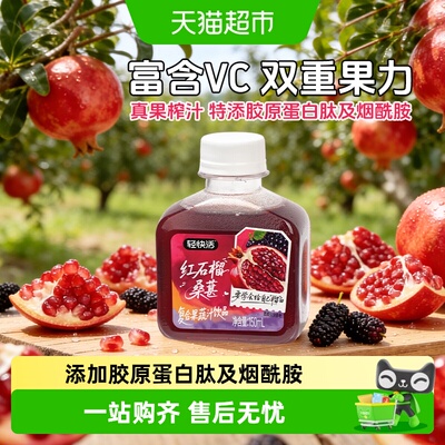 椰泰红石榴桑葚汁富含维C冷藏