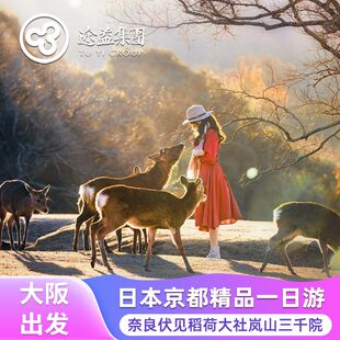 途益 日本旅游大阪出发京都奈良伏见稻荷大社岚山三千院一日游