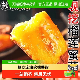 正宗榴莲蜜薯潍坊寿光黄心红薯新鲜农家番薯糖心软糯沙地地瓜