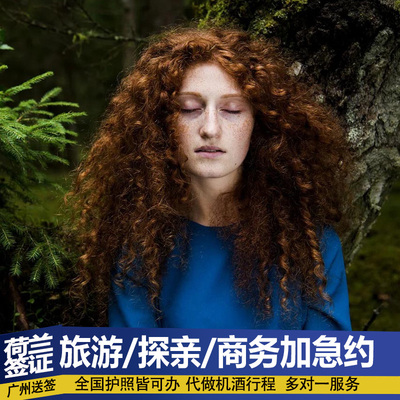 荷兰签证全国办理昆山春秋