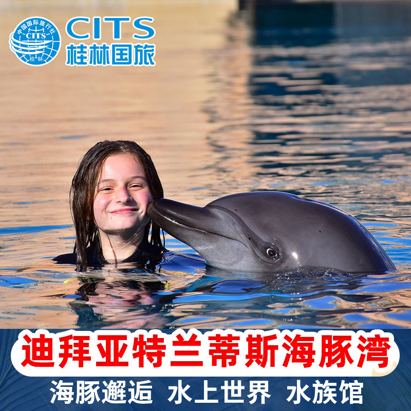 迪拜亚特兰蒂斯水上冒险乐园 亚特海豚湾海豚邂逅见面会/海豚共泳