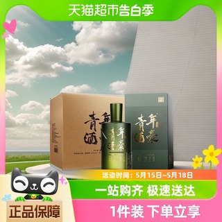 谷小酒青年酒豪浓香型白酒52度600ml*6瓶整箱装