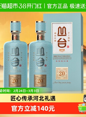 丛台酒 窖龄原浆20精英版 浓香型白酒 38度 480ml*2瓶 送礼自饮