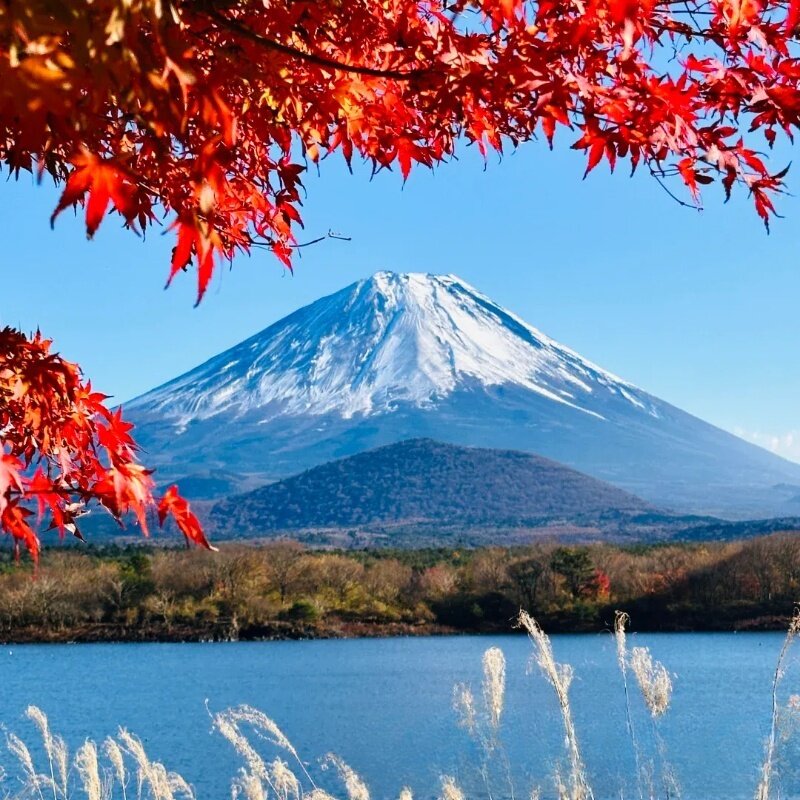 富士山河口湖山中湖