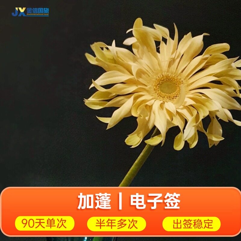 加蓬·商务签证·全国送签·加蓬签证 个人电子商务签证代送签办理 护照首页+相片即可 不拒签不卡签 全国收90天单次半年多次 可延期