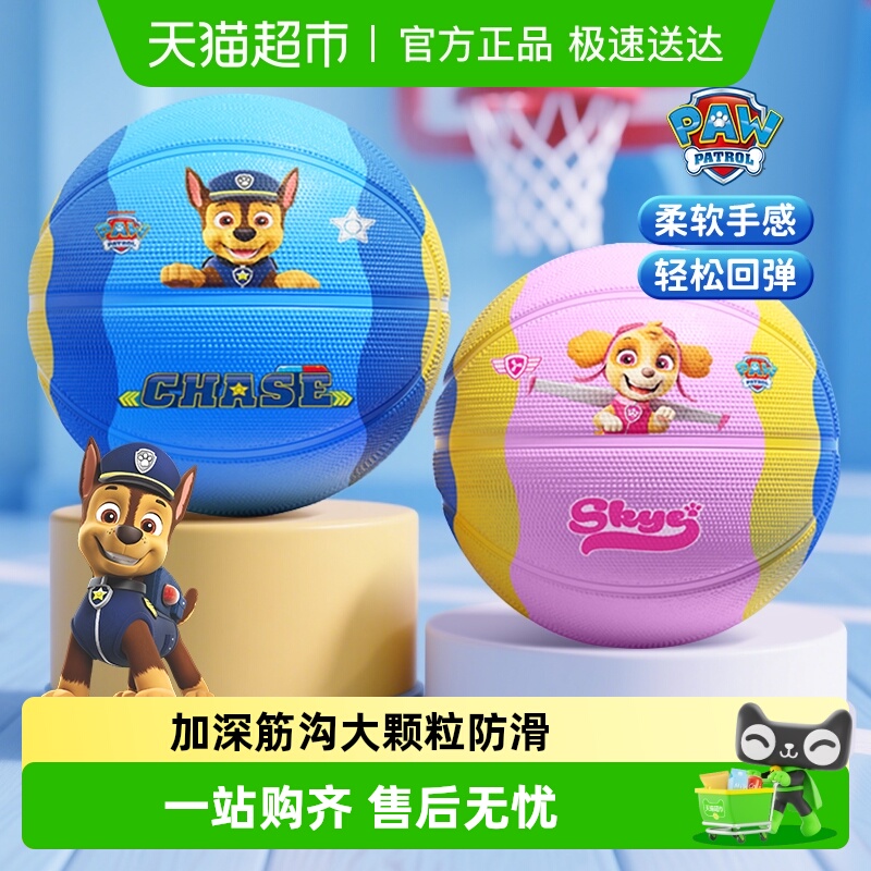 儿童篮球汪汪队户外训练篮球