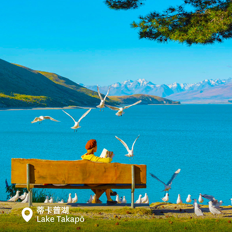 明星团队：精选新西兰南岛金牌好评导游，千万游客的口碑好评服务团队 特色美食：TSS蒸汽船农庄BBQ午餐+品尝鲜嫩的高山三文鱼+特色自助午餐 奇景体验：峡湾游船巡游+西海岸冰川游览+皇后镇天空缆车+小企鹅归巢 冒险之都：连住皇后镇4-5星酒店，户外运动天堂，蹦极、跳伞可任选体验