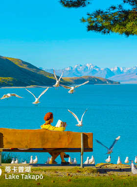 9人真纯玩小团新西兰南岛8日基督城皇后镇库克山蒂卡波湖箭镇旅游