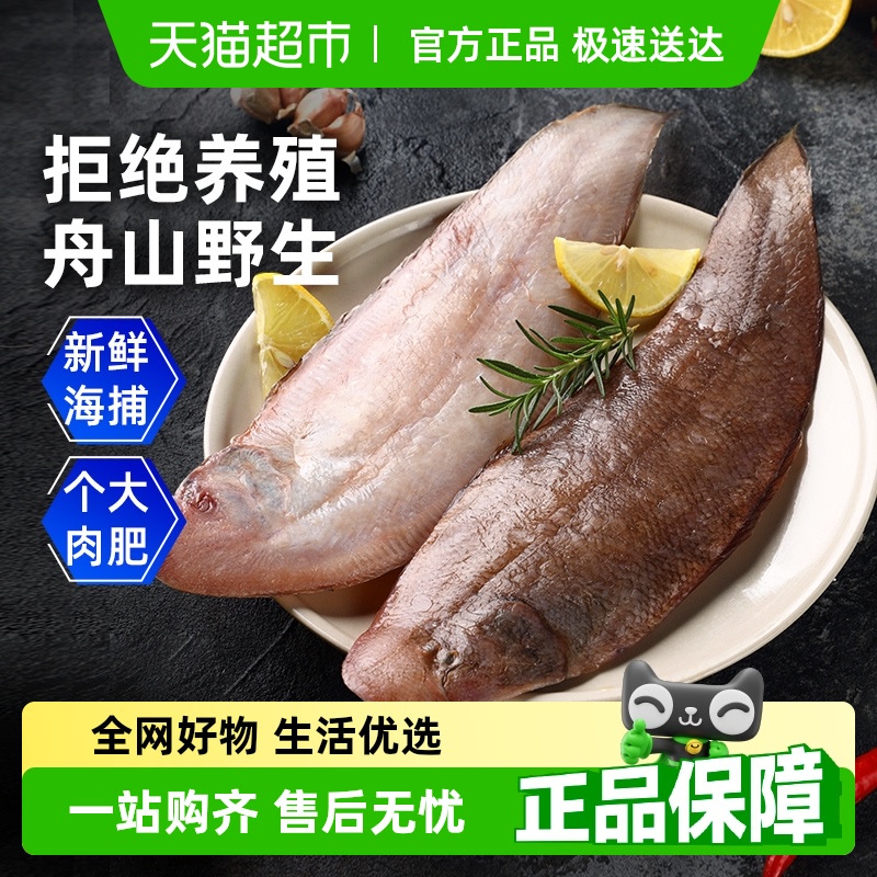 遇上鲜舟山玉秃冷冻龙利鱼