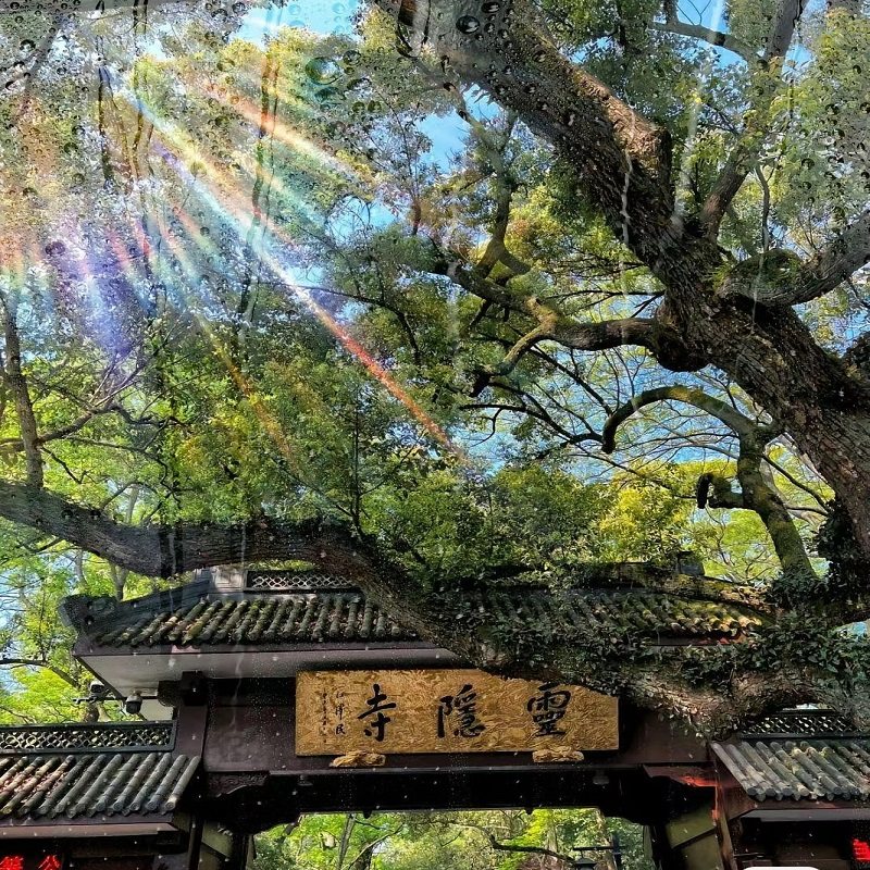 杭州自由行+西湖1人可订含云栖竹径门票住西湖大道希尔顿欢朋酒店