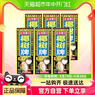 正宗椰树牌椰汁椰子汁245ml×6盒